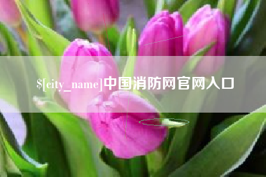 澳门中国消防网官网入口