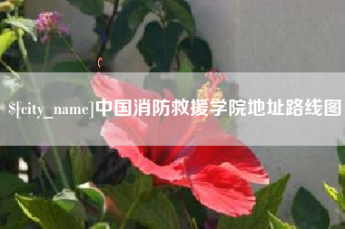 澳门中国消防救援学院地址路线图