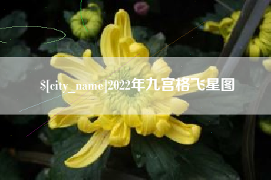 澳门2022年九宫格飞星图