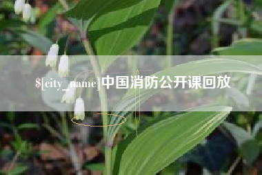 澳门中国消防公开课回放