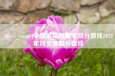 澳门中国消防救援学院分数线2023年河北录取分数线
