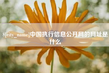 澳门中国执行信息公开网的网址是什么