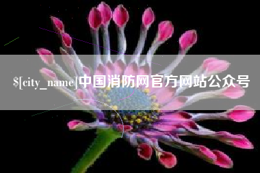 澳门中国消防网官方网站公众号