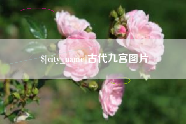 澳门古代九宫图片