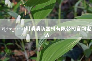 澳门川消消防器材有限公司官网电话