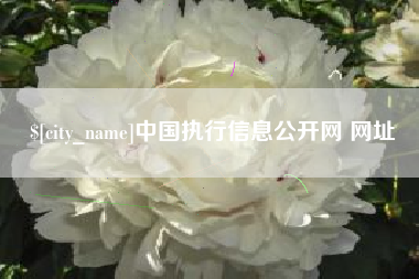 澳门中国执行信息公开网 网址
