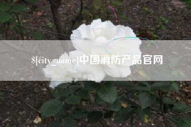 澳门中国消防产品官网