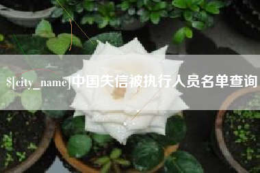 澳门中国失信被执行人员名单查询