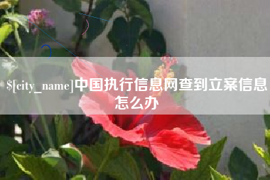 澳门中国执行信息网查到立案信息怎么办