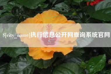 澳门执行信息公开网查询系统官网