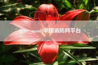 澳门中国消防网平台