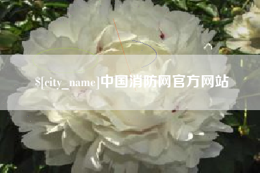 澳门中国消防网官方网站