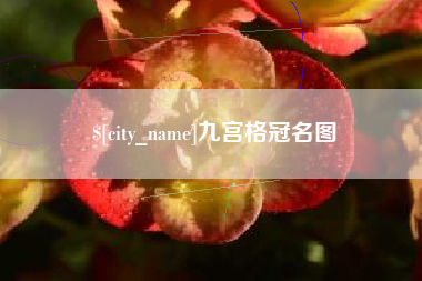 澳门九宫格冠名图