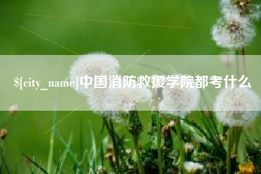 澳门中国消防救援学院都考什么
