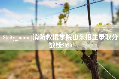 澳门消防救援学院山东招生录取分数线2020