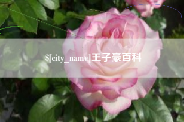 澳门王子豪百科