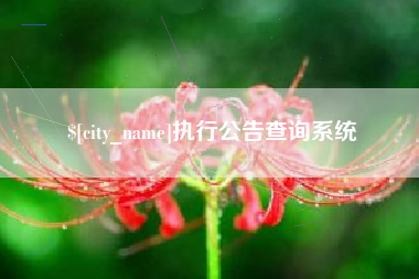 澳门执行公告查询系统