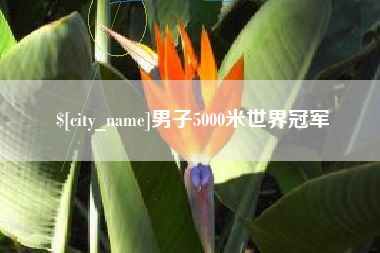 澳门男子5000米世界冠军