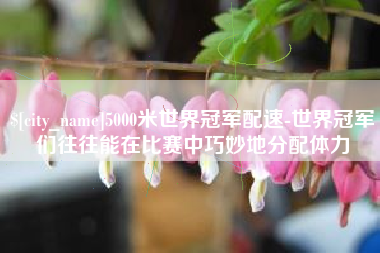 澳门5000米世界冠军配速-世界冠军们往往能在比赛中巧妙地分配体力