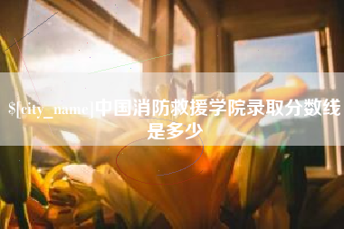 澳门中国消防救援学院录取分数线是多少