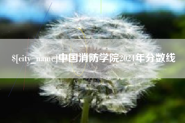 澳门中国消防学院2024年分数线