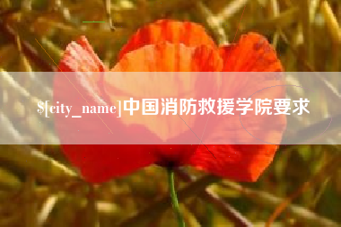 澳门中国消防救援学院要求