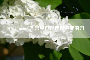 澳门九宫星位是定位不变的吗