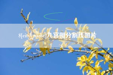 澳门九宫图分割线图片