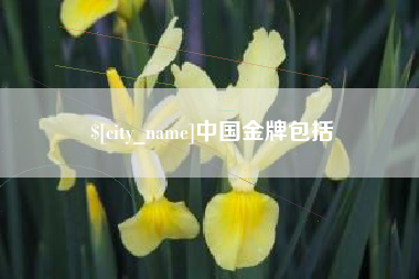 澳门中国金牌包括