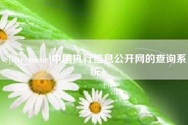 澳门中国执行信息公开网的查询系统