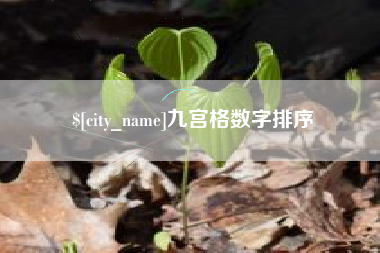 澳门九宫格数字排序