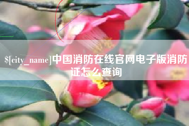 澳门中国消防在线官网电子版消防证怎么查询