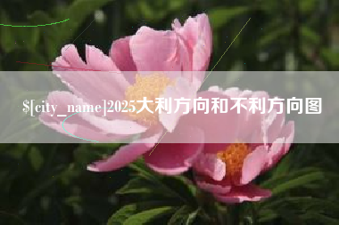 澳门2025大利方向和不利方向图