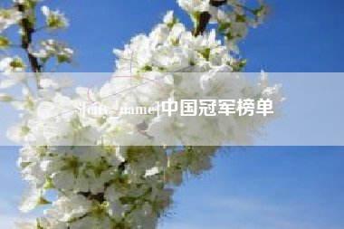 澳门中国冠军榜单