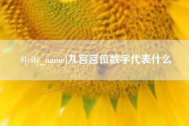 澳门九宫宫位数字代表什么