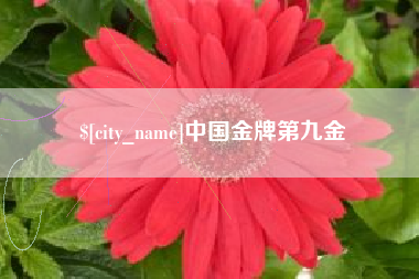 澳门中国金牌第九金