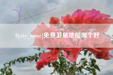澳门免费卫星地图哪个好