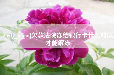 澳门欠款法院冻结银行卡什么时候才能解冻