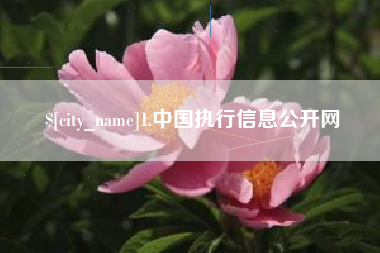 澳门1.中国执行信息公开网