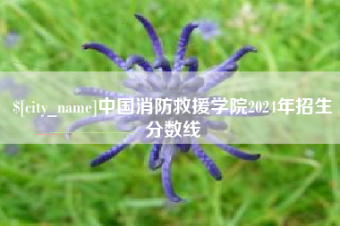 澳门中国消防救援学院2024年招生分数线