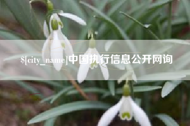 澳门中国执行信息公开网询