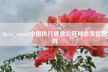 澳门中国执行信息公开网会发信息吗