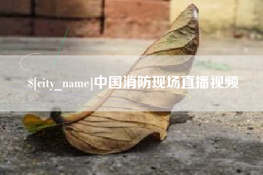 澳门中国消防现场直播视频