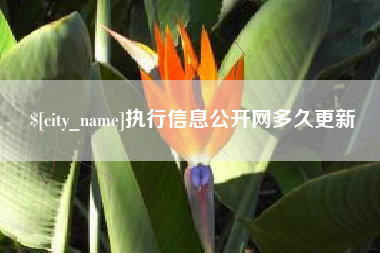 澳门执行信息公开网多久更新