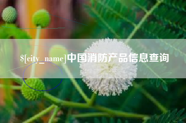 澳门中国消防产品信息查询