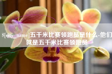 澳门五千米比赛领跑员是什么-他们就是五千米比赛领跑员