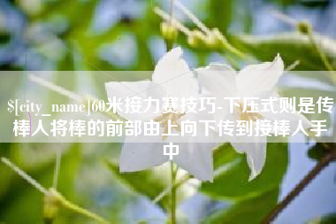 澳门60米接力赛技巧-下压式则是传棒人将棒的前部由上向下传到接棒人手中