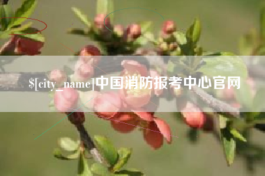 澳门中国消防报考中心官网