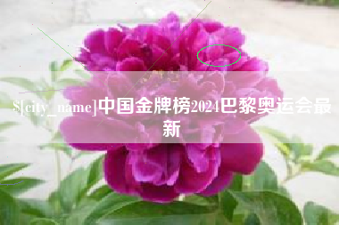 澳门中国金牌榜2024巴黎奥运会最新