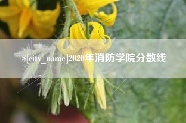 澳门2020年消防学院分数线
